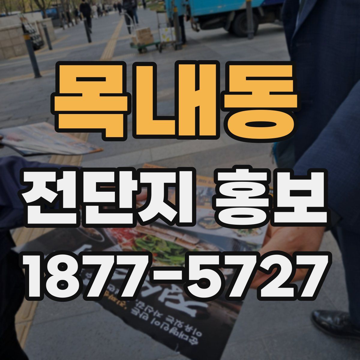 목내동 전단지 홍보