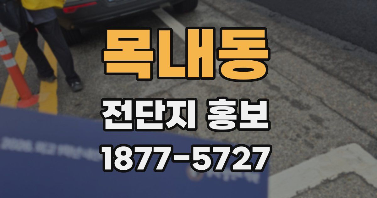 목내동 전단지 홍보