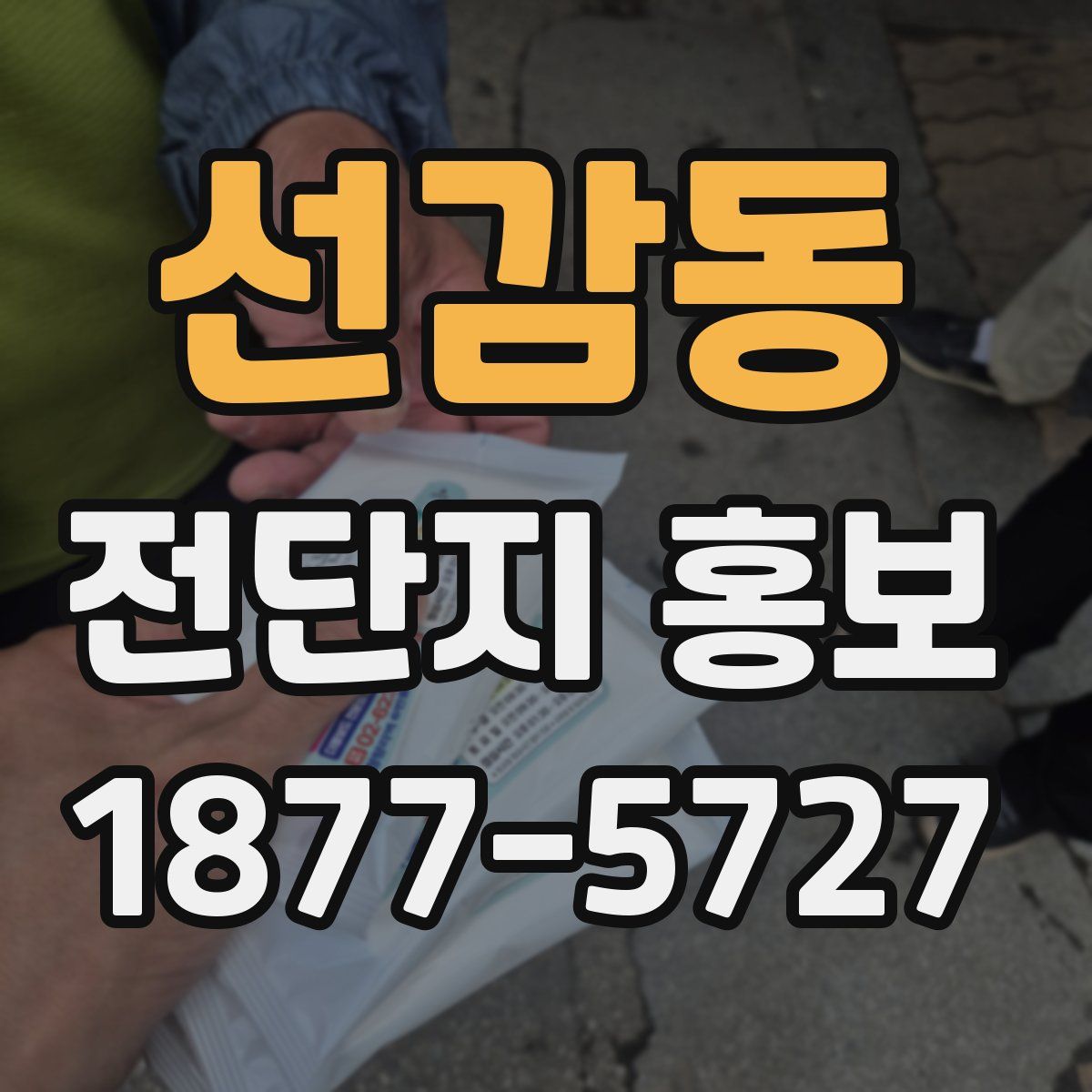 선감동 전단지 홍보