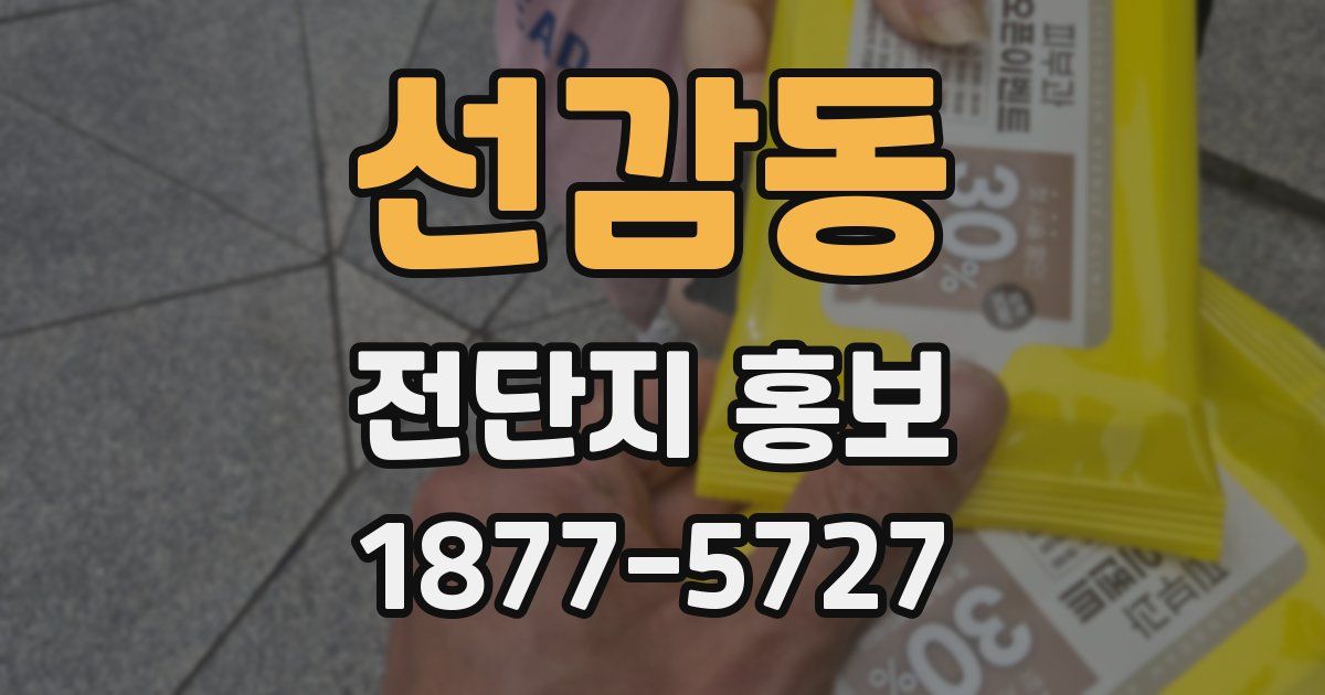 선감동 전단지 홍보