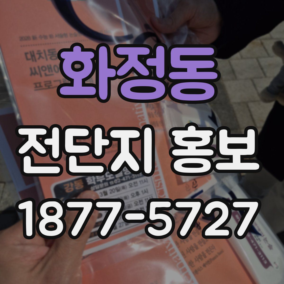 화정동 전단지 홍보