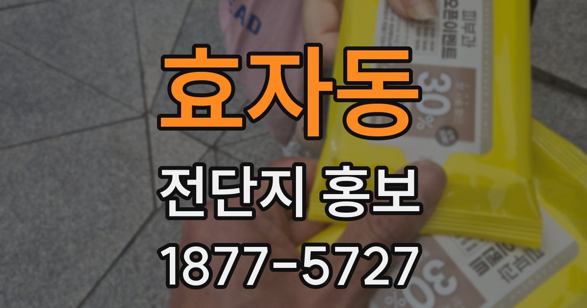 효자동 전단지 홍보