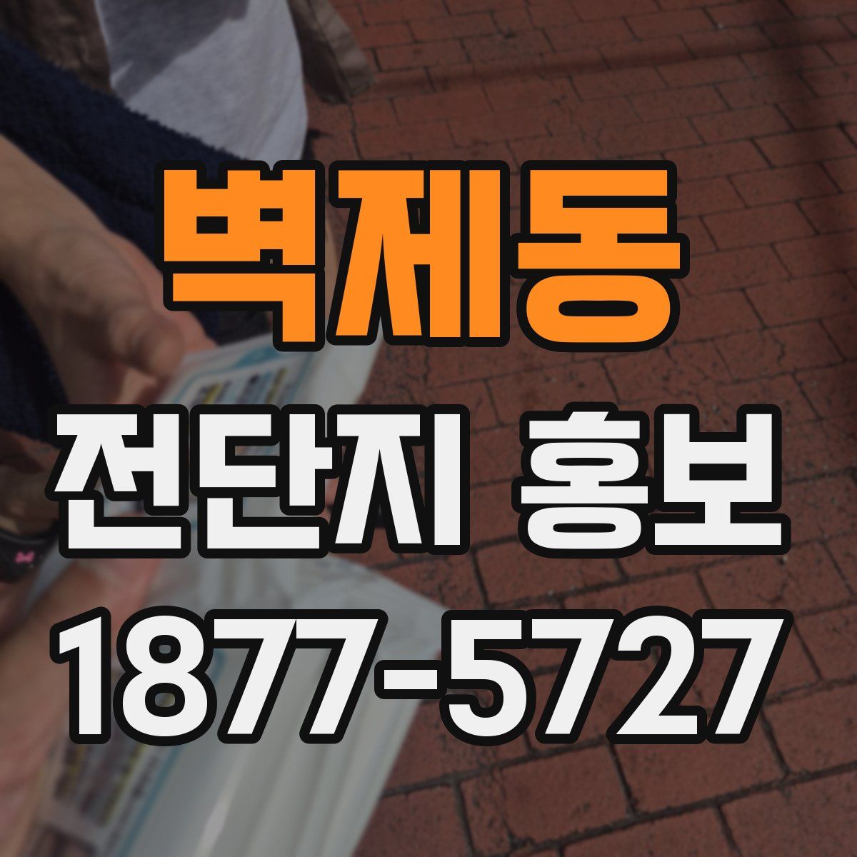 벽제동 전단지 홍보