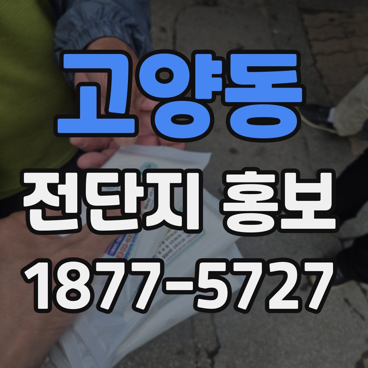 고양동 전단지 홍보