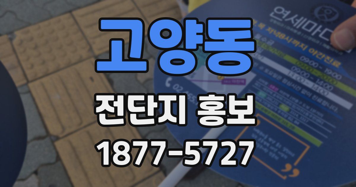 고양동 전단지 홍보