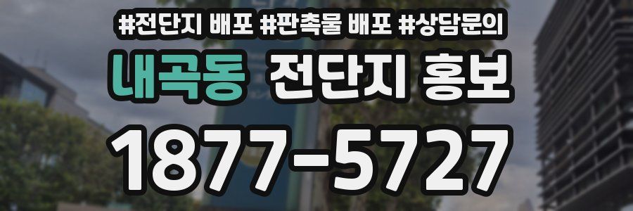 내곡동 전단지 홍보