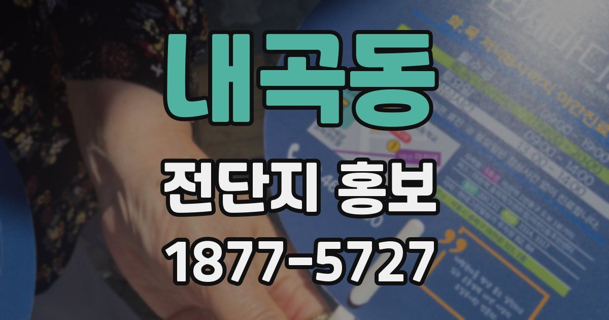 내곡동 전단지 홍보