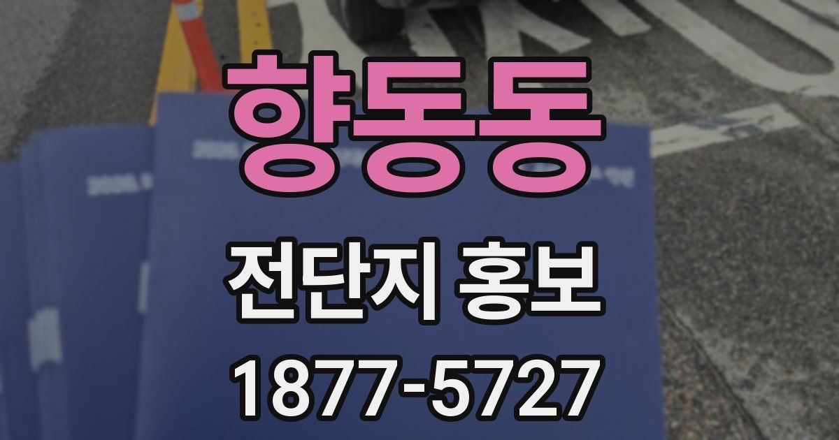 향동동 전단지 홍보