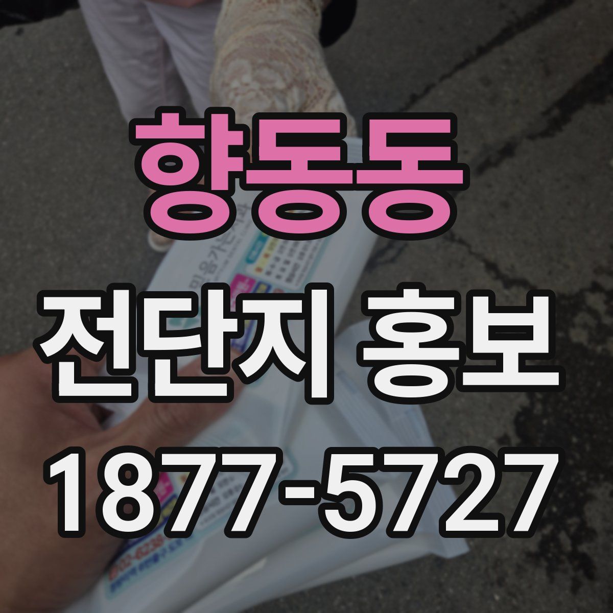 향동동 전단지 홍보