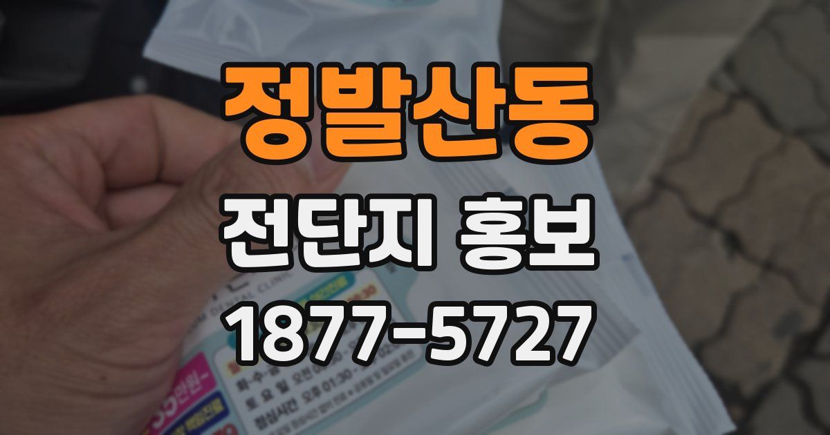 정발산동 전단지 홍보