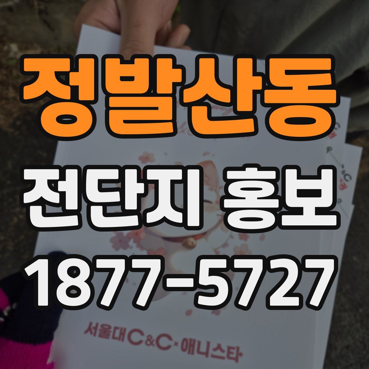 정발산동 전단지 홍보