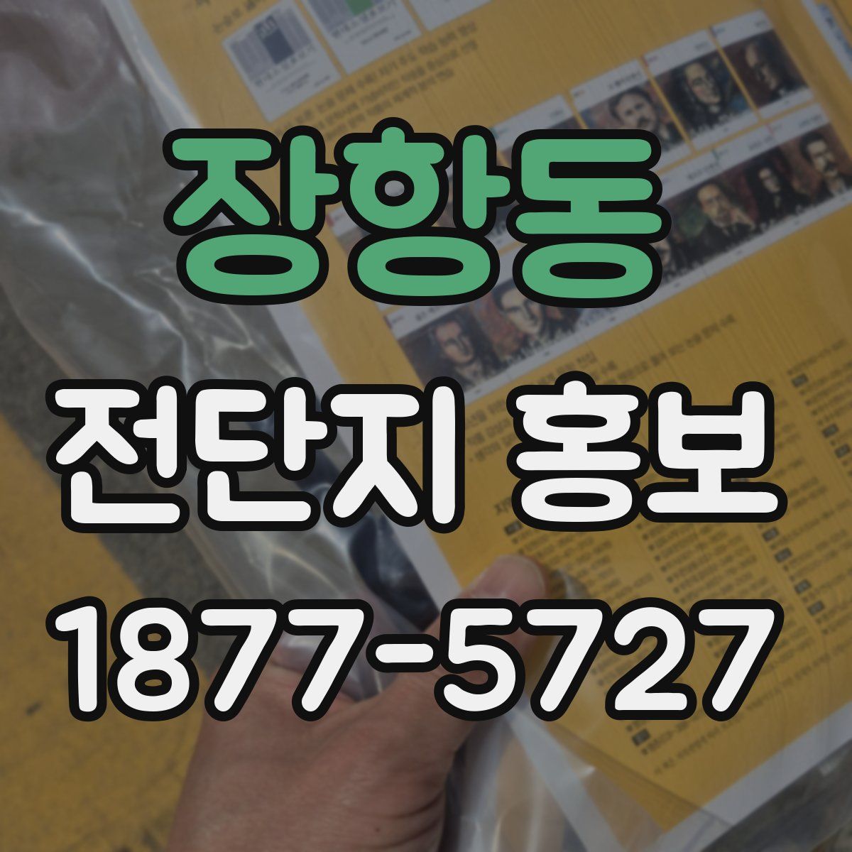 장항동 전단지 홍보