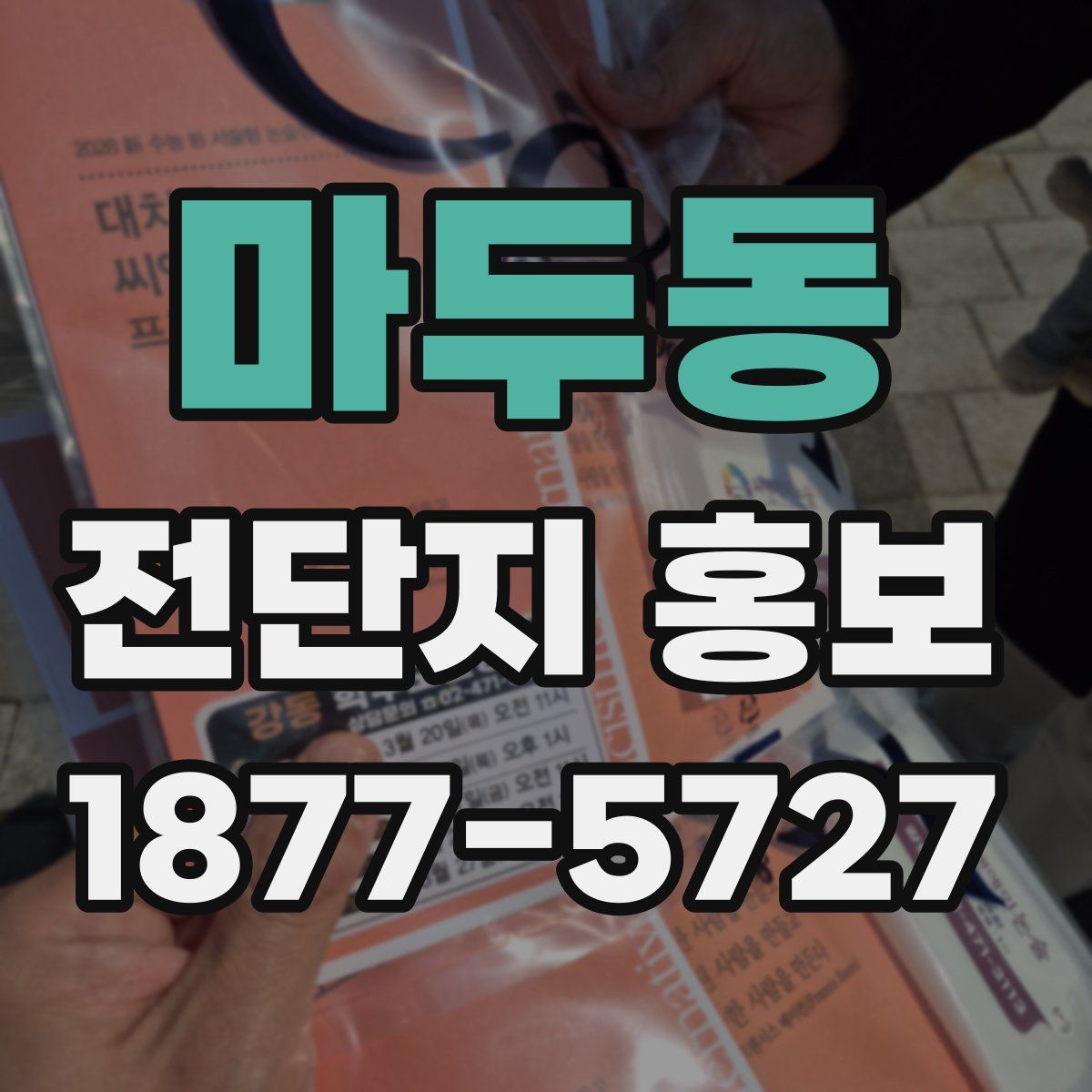 마두동 전단지 홍보