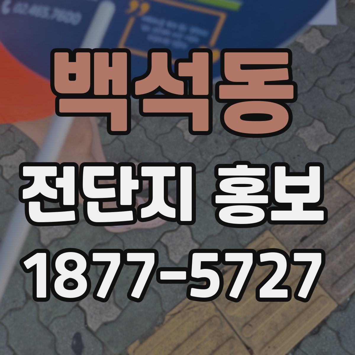 백석동 전단지 홍보