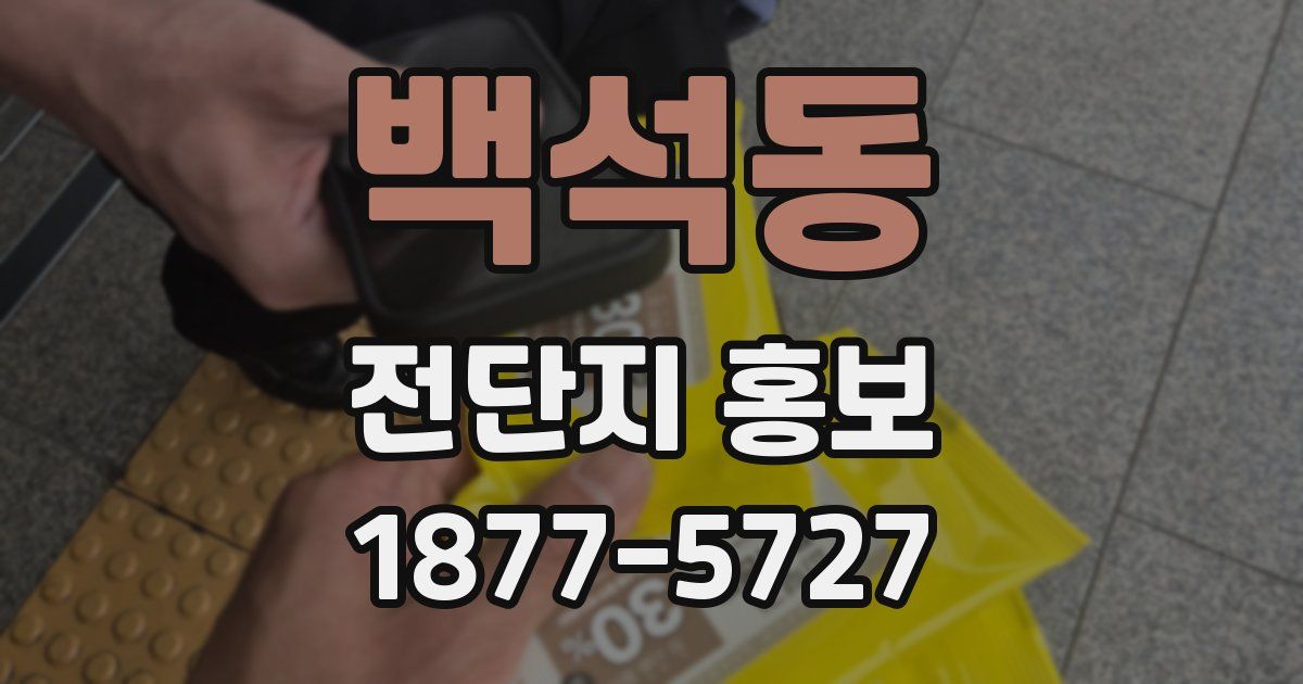백석동 전단지 홍보