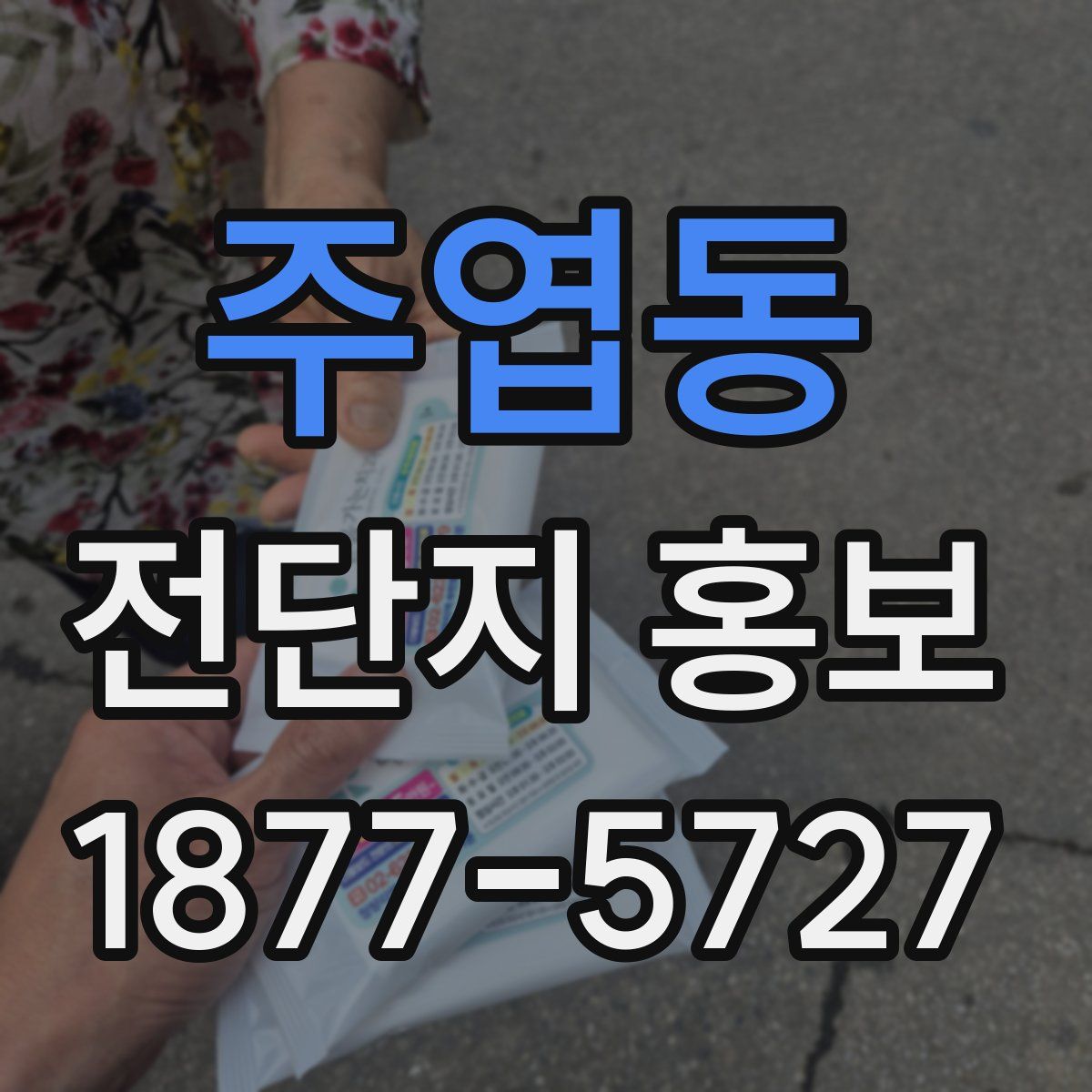 주엽동 전단지 홍보