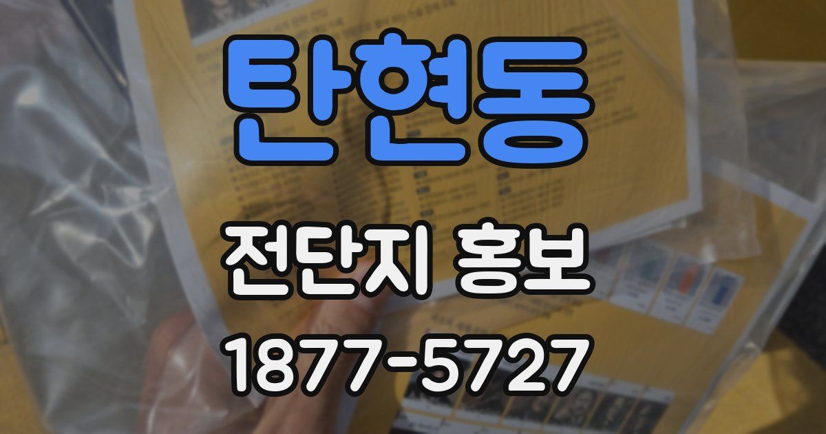 탄현동 전단지 홍보