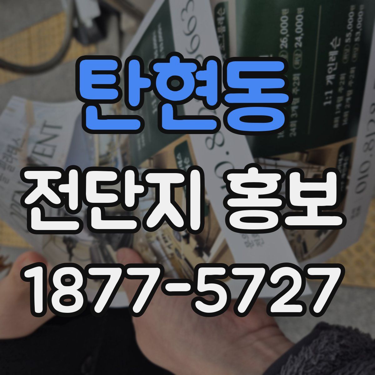 탄현동 전단지 홍보