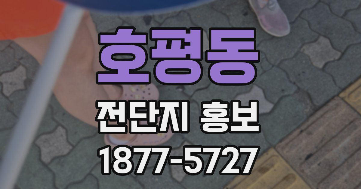 호평동 전단지 홍보