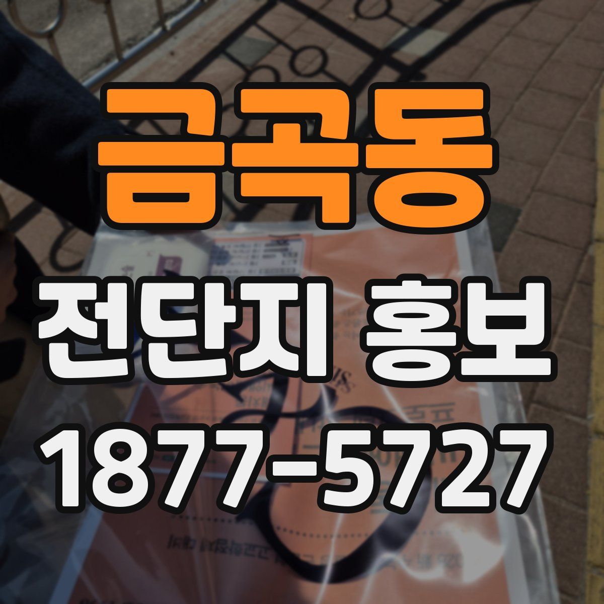 금곡동 전단지 홍보