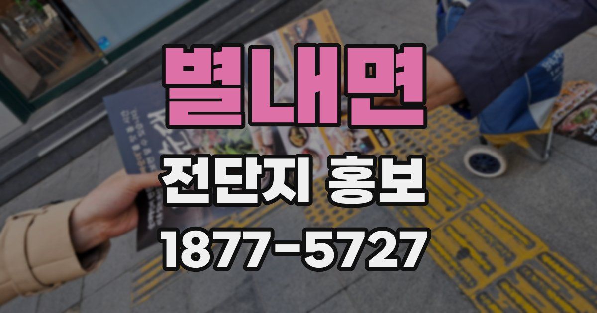 별내면 전단지 홍보