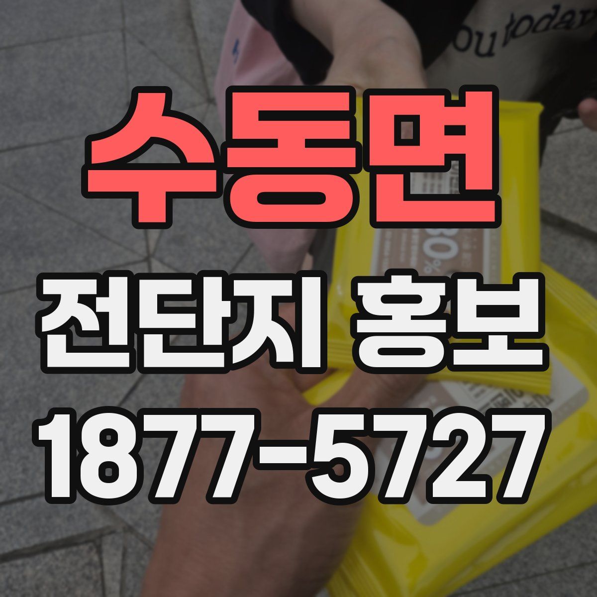 수동면 전단지 홍보
