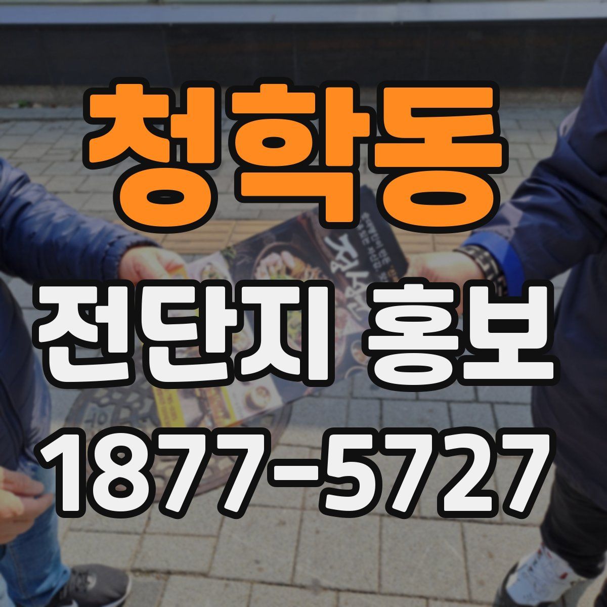 청학동 전단지 홍보