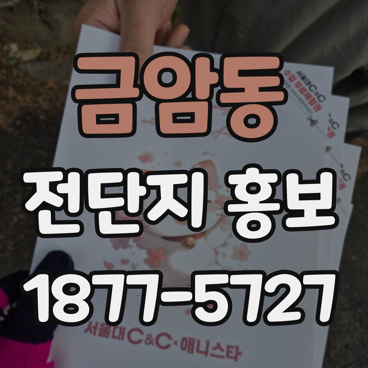 금암동 전단지 홍보