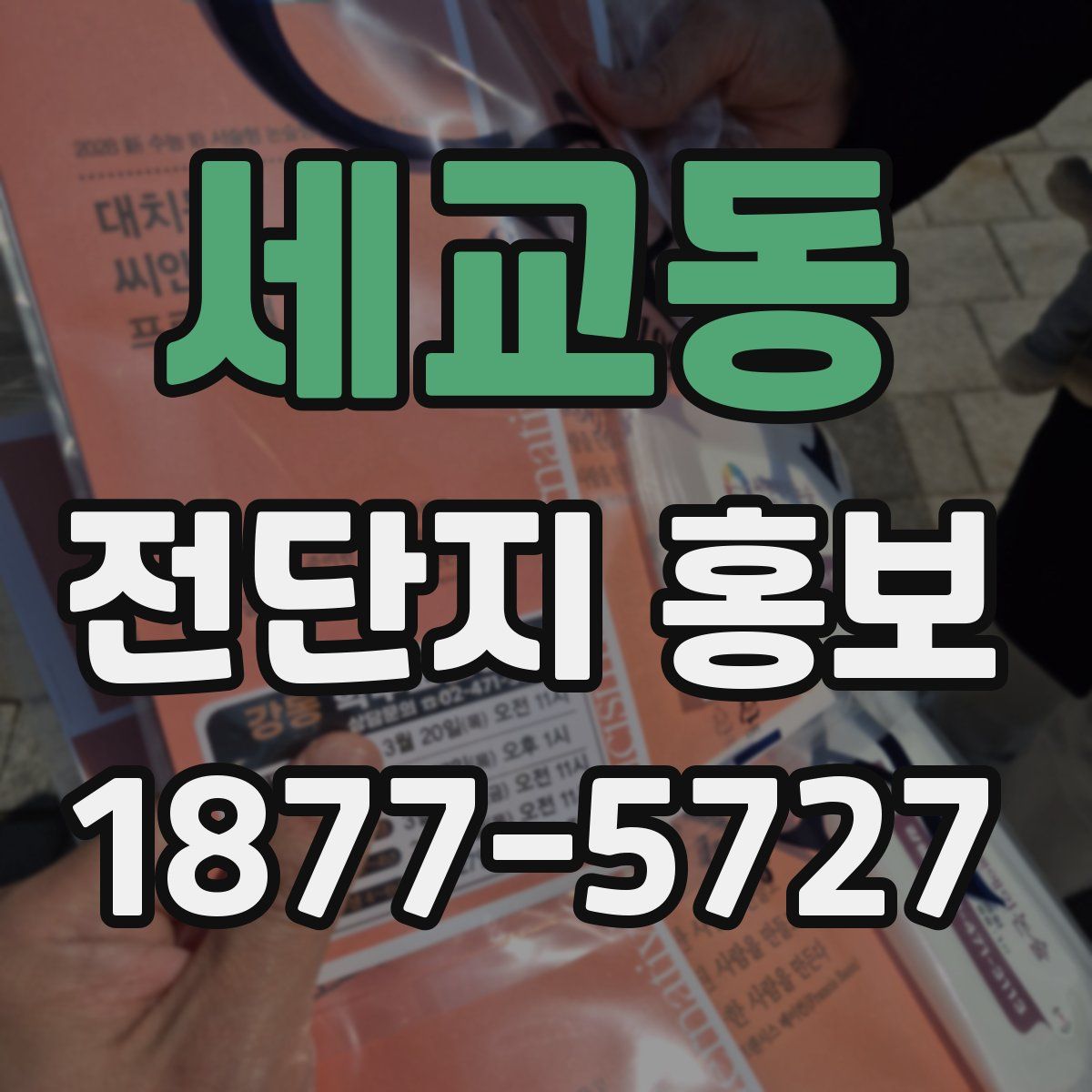 세교동 전단지 홍보