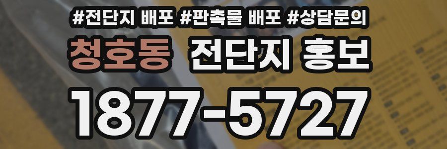 청호동 전단지 홍보