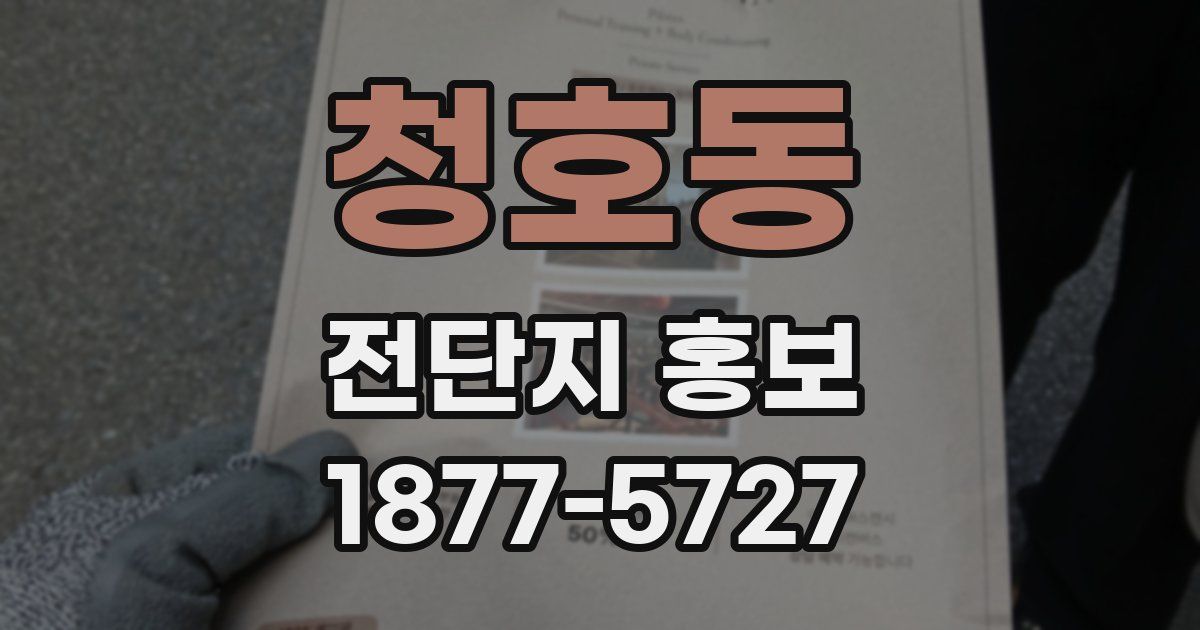 청호동 전단지 홍보