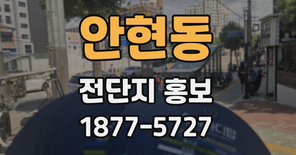 안현동 전단지 홍보