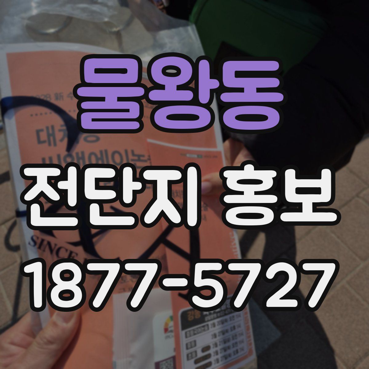 물왕동 전단지 홍보
