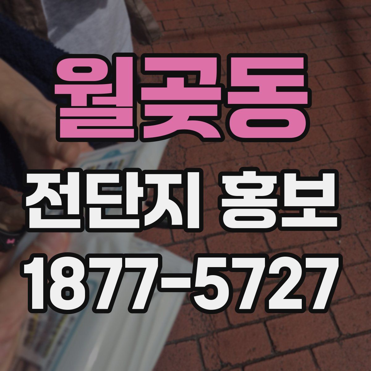 월곶동 전단지 홍보