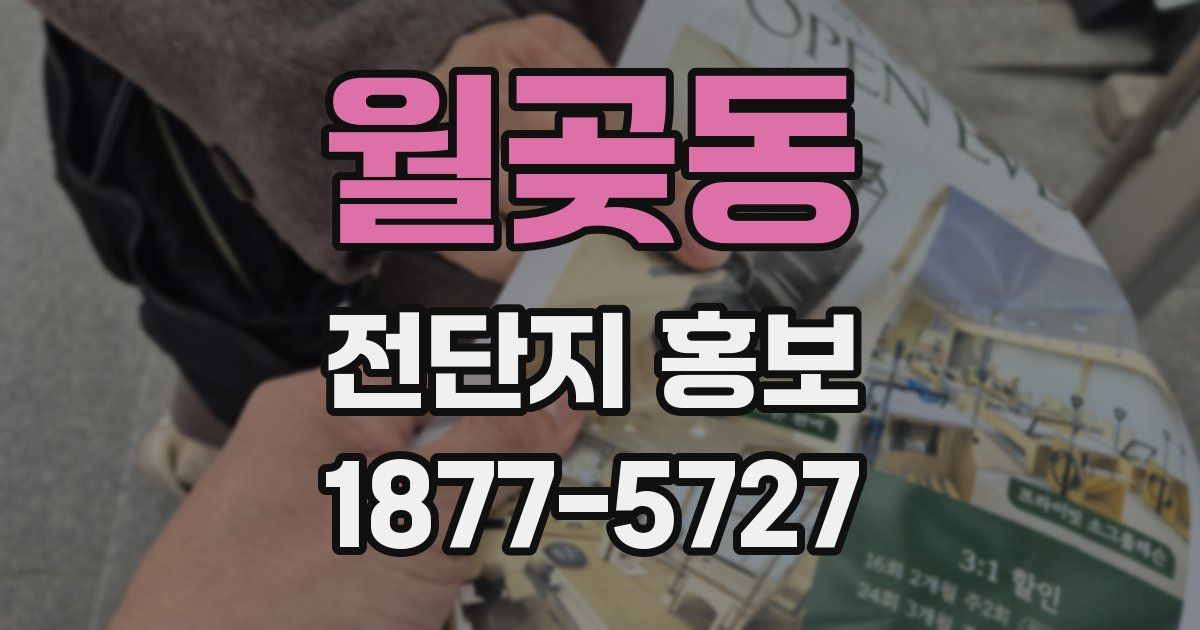월곶동 전단지 홍보