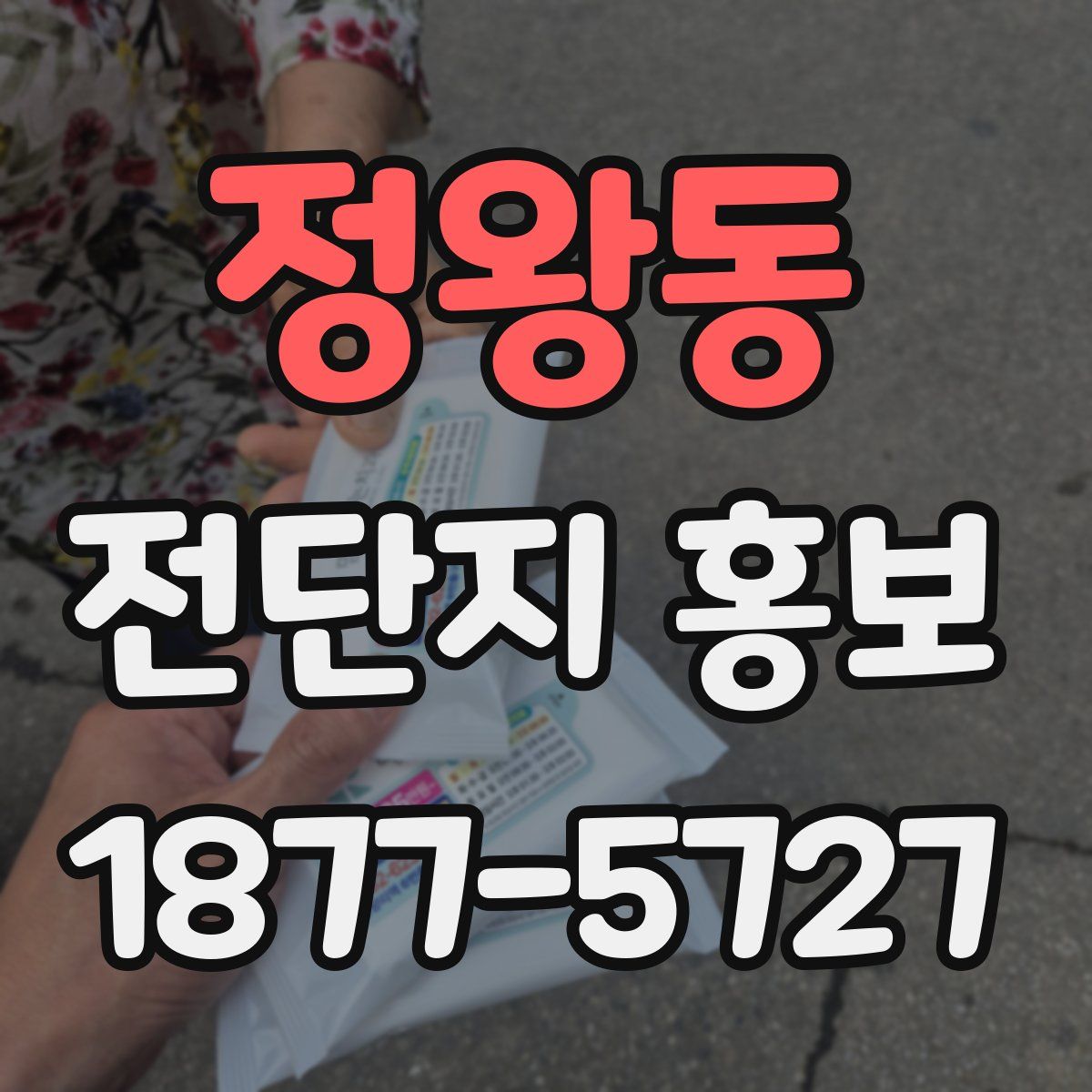 정왕동 전단지 홍보