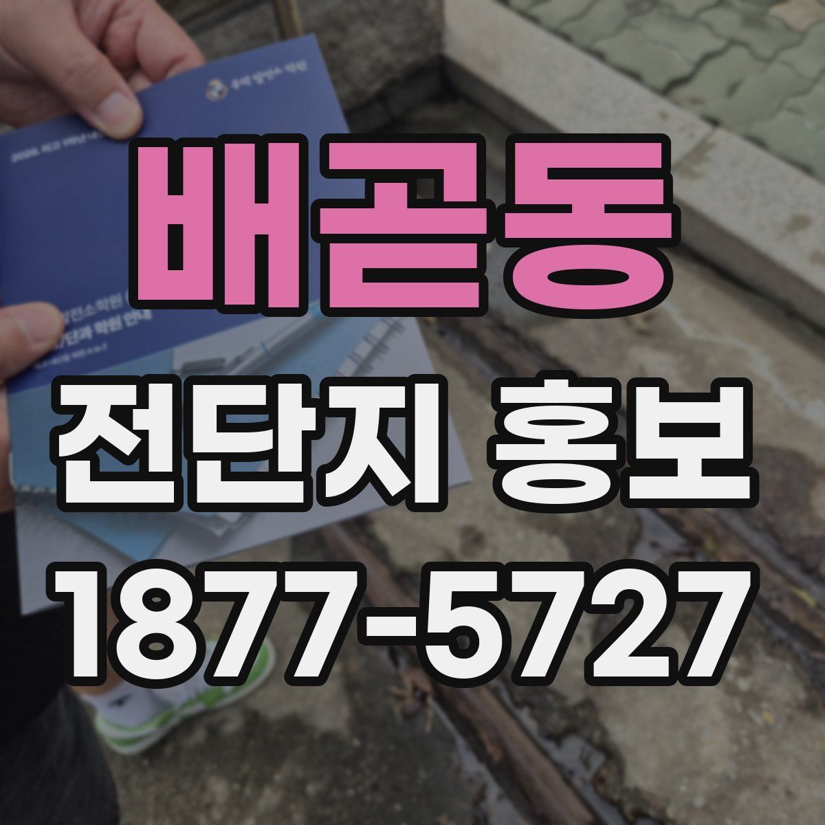 배곧동 전단지 홍보