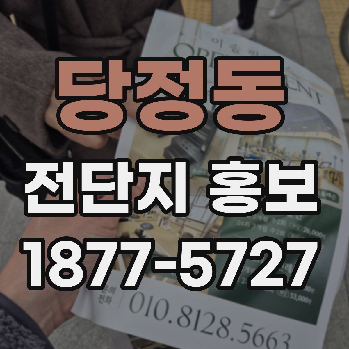 당정동 전단지 홍보