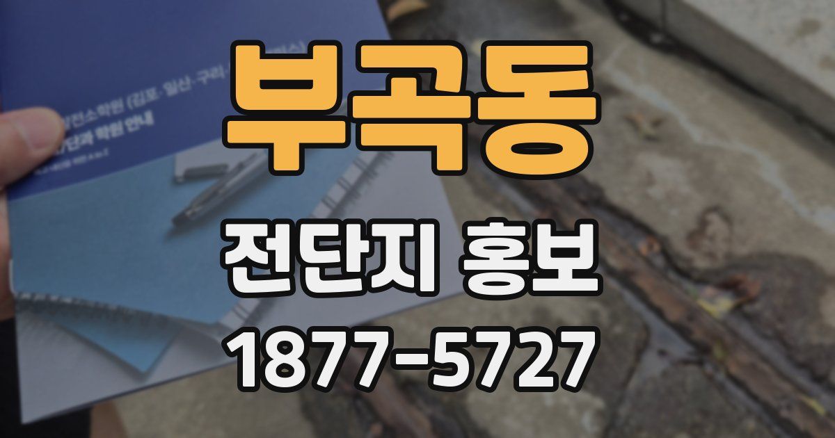 부곡동 전단지 홍보