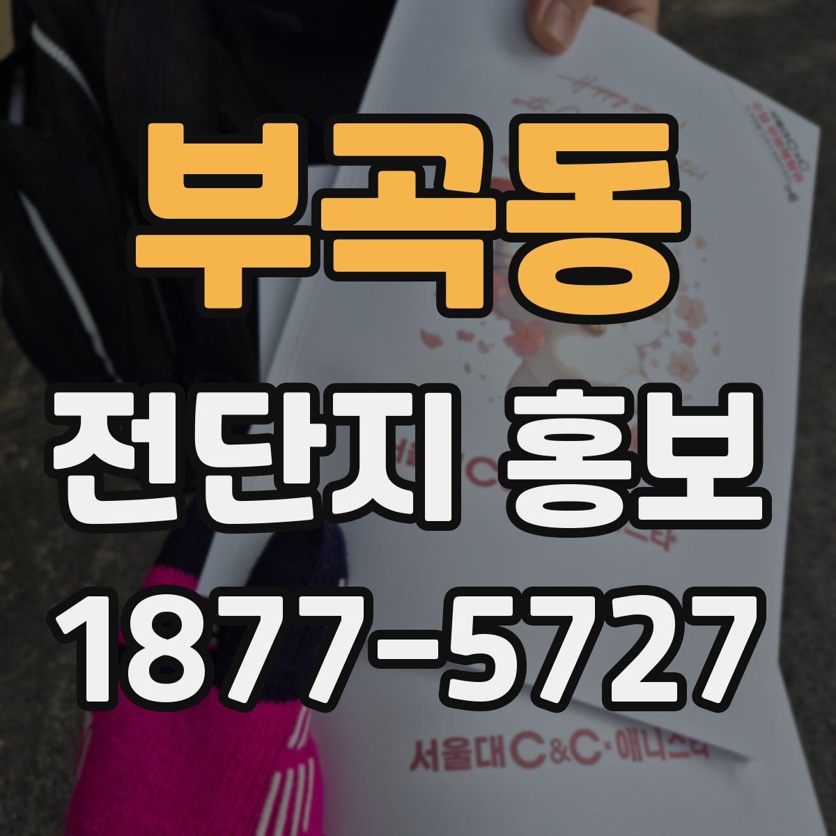 부곡동 전단지 홍보