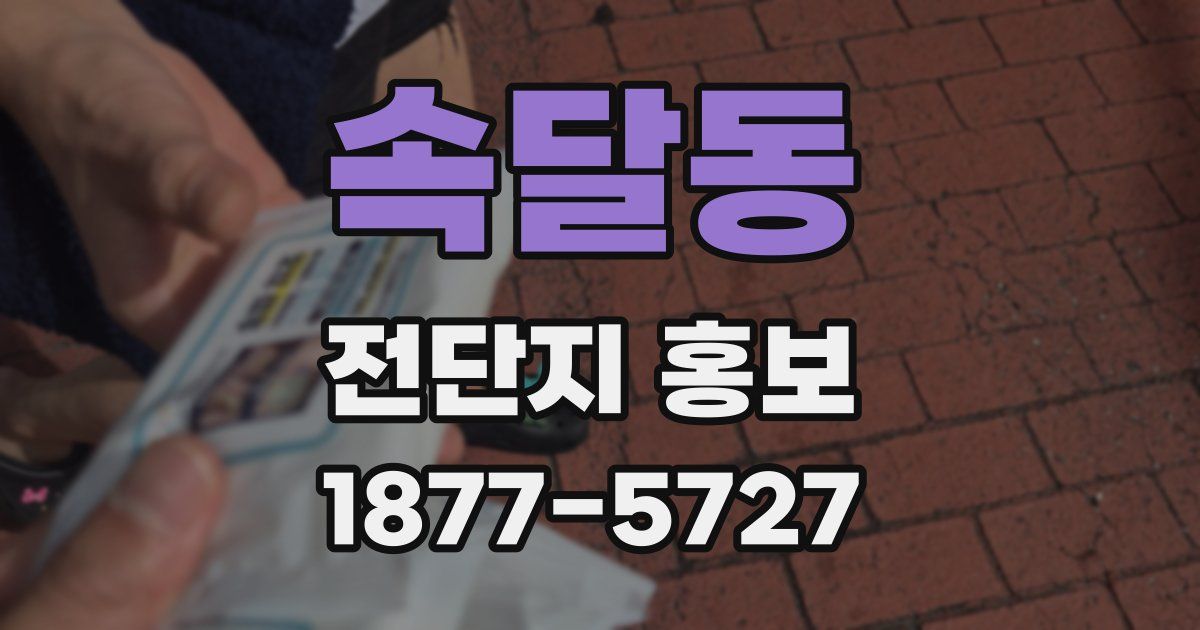 속달동 전단지 홍보