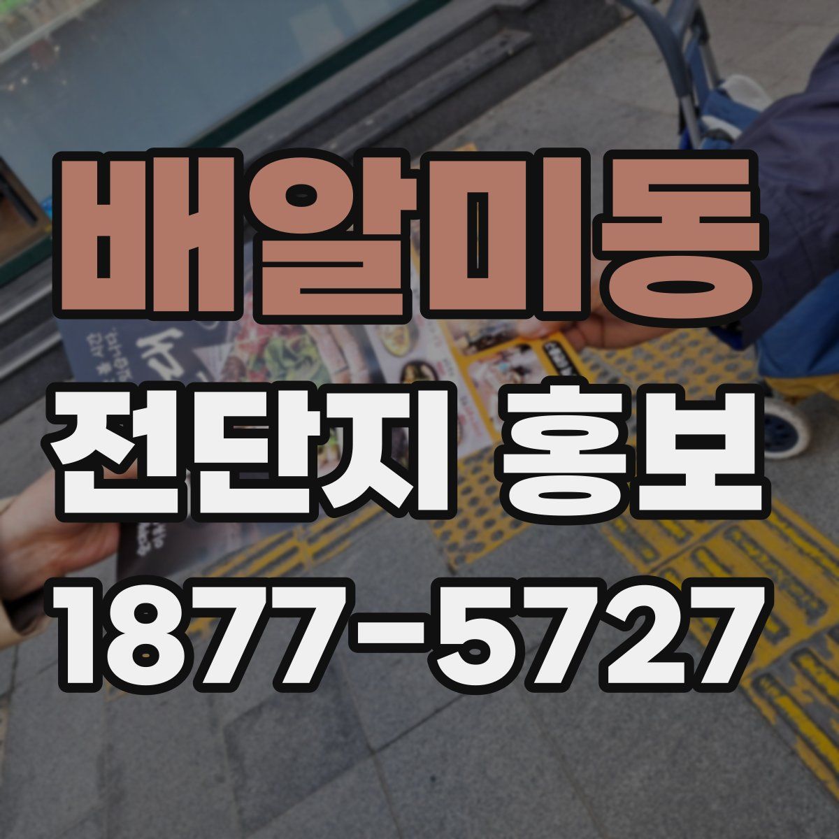 배알미동 전단지 홍보