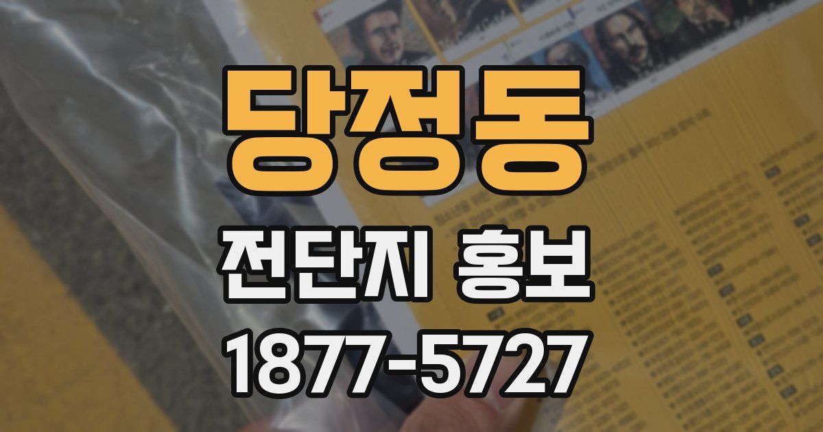 당정동 전단지 홍보