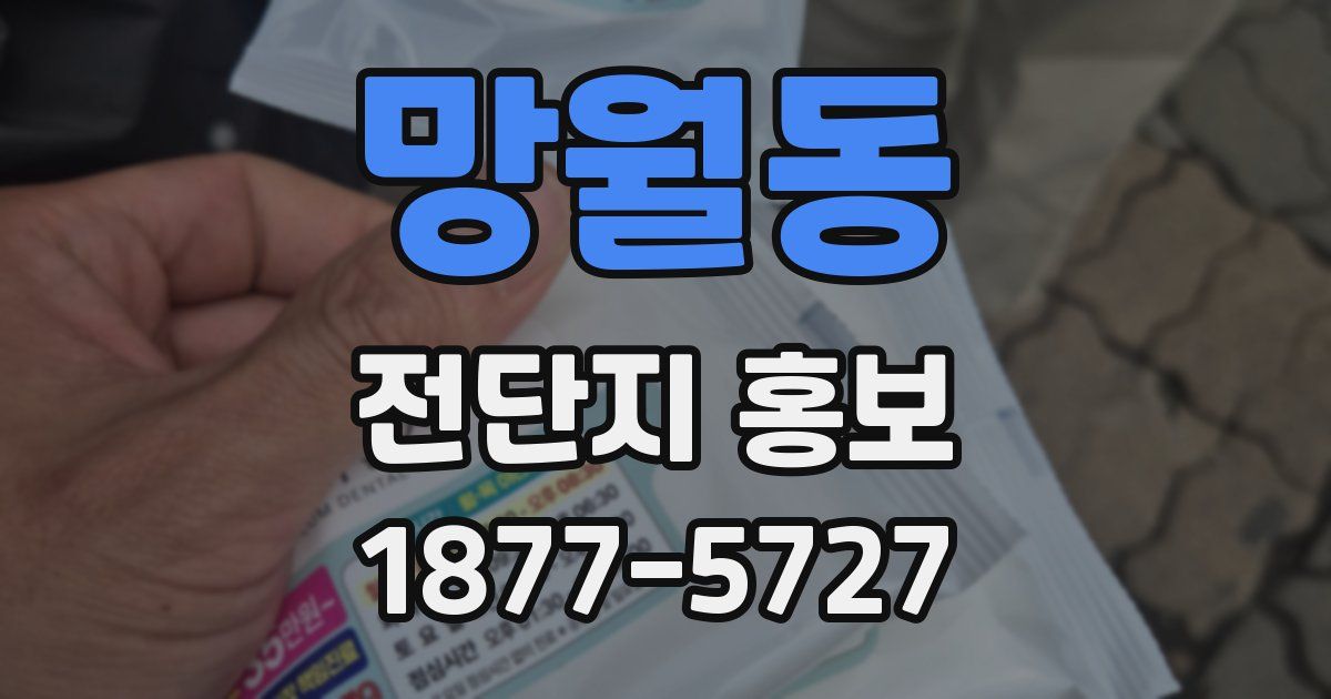 망월동 전단지 홍보