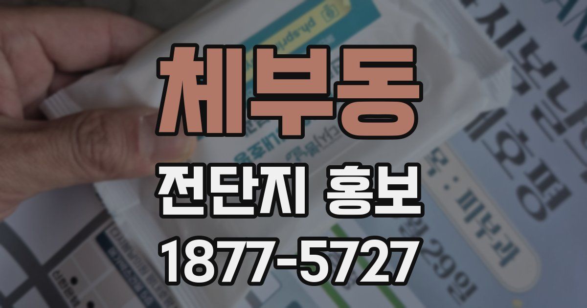 체부동 전단지 홍보