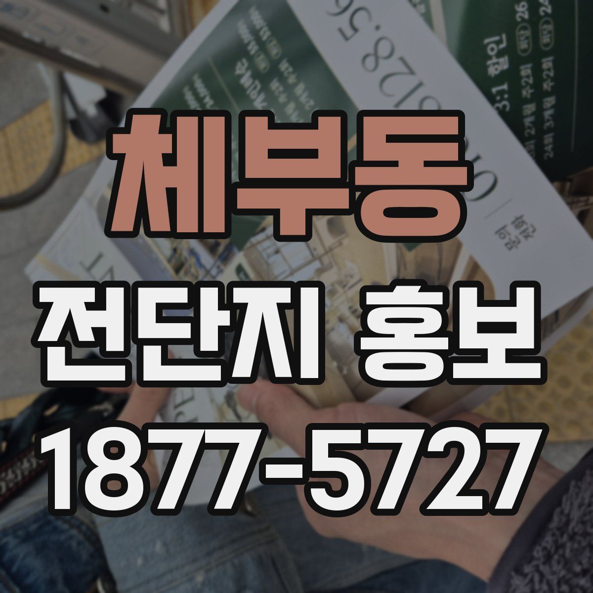 체부동 전단지 홍보