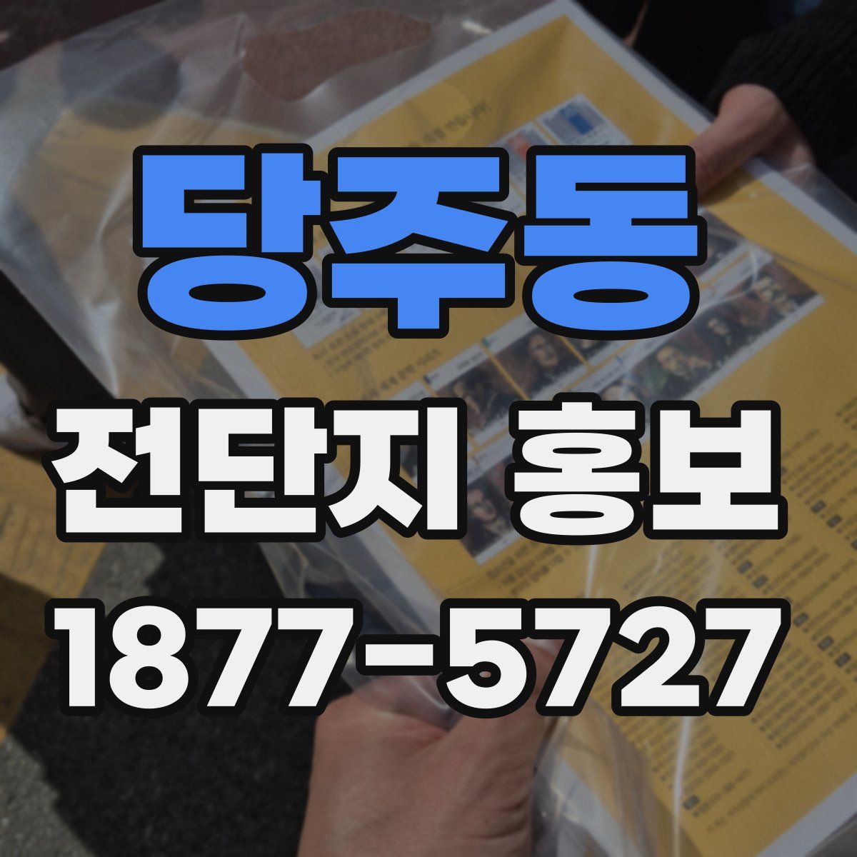 당주동 전단지 홍보