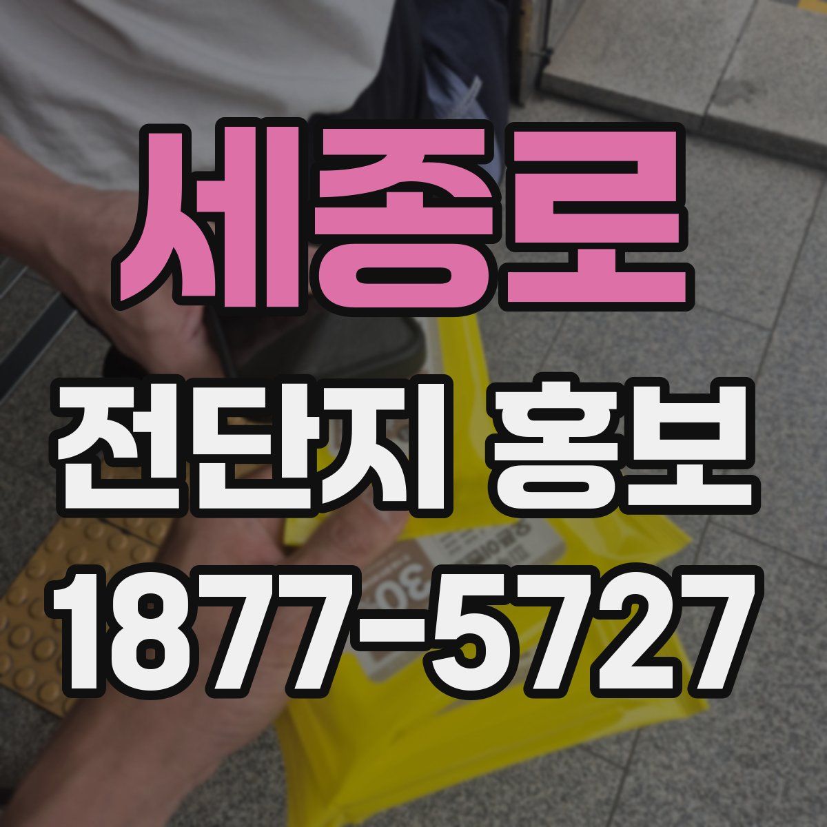 세종로 전단지 홍보