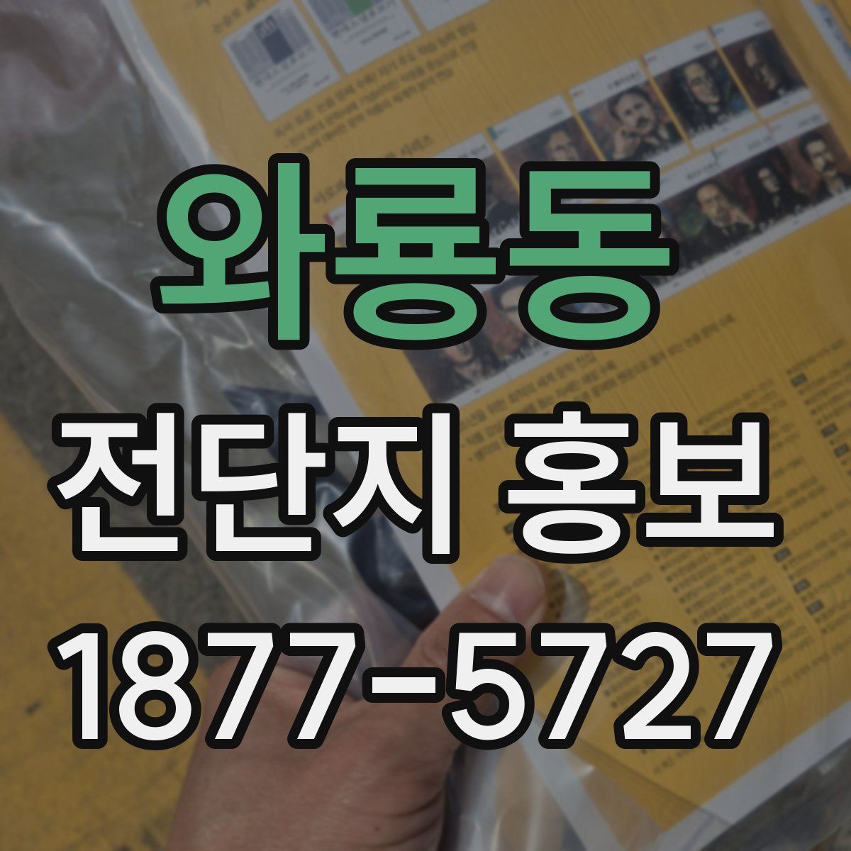 와룡동 전단지 홍보