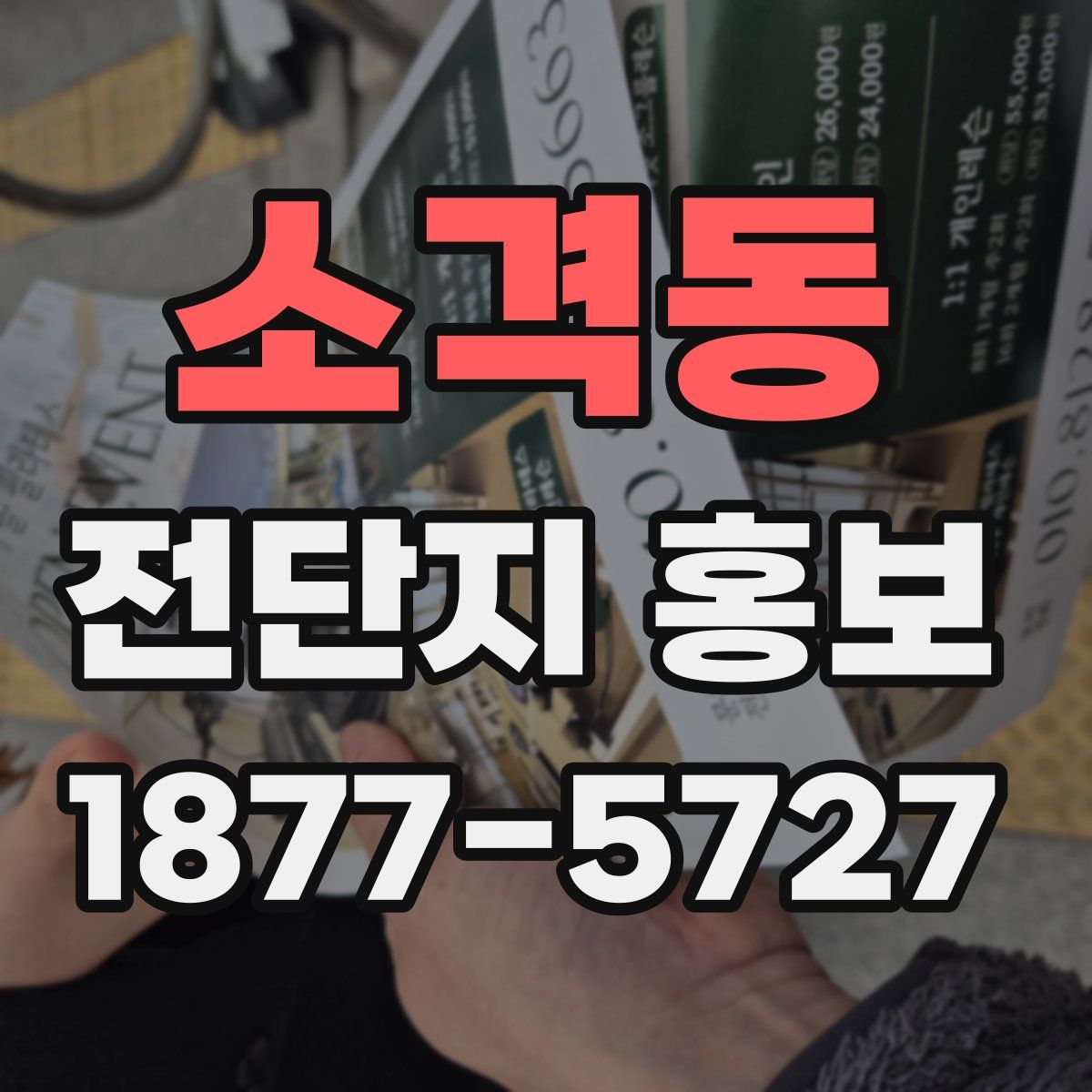 소격동 전단지 홍보